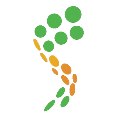 Solution Print & Pack Logo